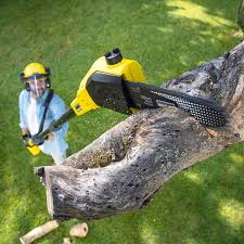 Lawn Watering Services in Ponchatoula, LA